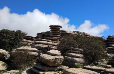 Apto I Santa Clara centro - Photo 16