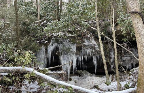 The Country Cottage by On Cue Properties - Foto 4