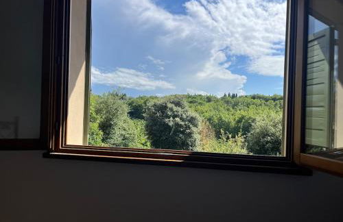 Prima Luce - Foto 47