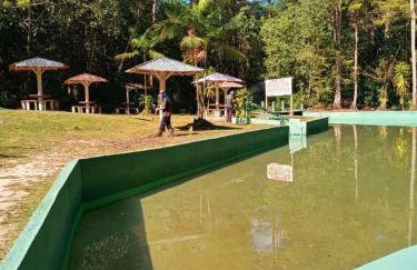 Casa com Igarapé - Photo 12