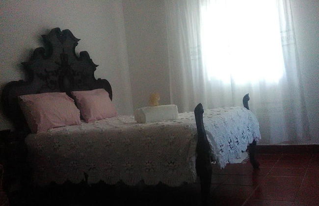 Nature Houses - Foto 4