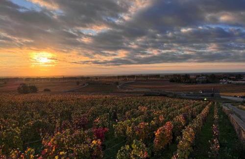 Escapade à Pommard - Foto 32