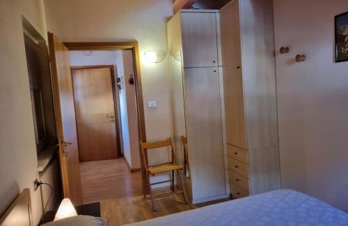 Cesa Alegra - Foto 15