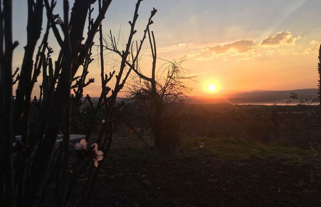 Villa View - Photo 68