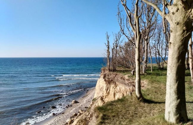 "sandpiper" on Rugen - Foto 19