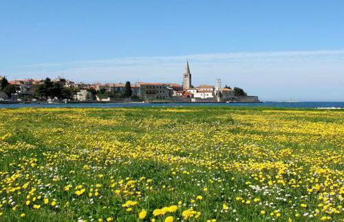 Villa Vita in Poreč - Haus für 6-8 Personen - Foto 32