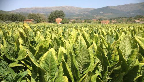 Hotel Rural Robles - Foto 5