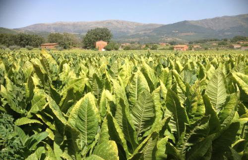 Hotel Rural Robles - Foto 5