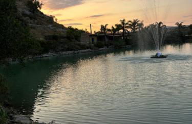 Ciuci's Manor - Foto 12