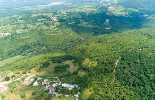 Villa Nono Spinovci - Foto 33