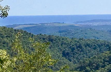 Guest App'Art - Foto 33