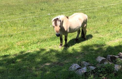 Räuberlager 15 - Foto 20