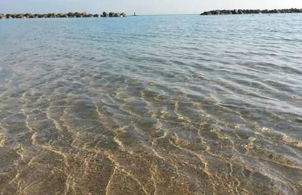 Stella di mare - Foto 29