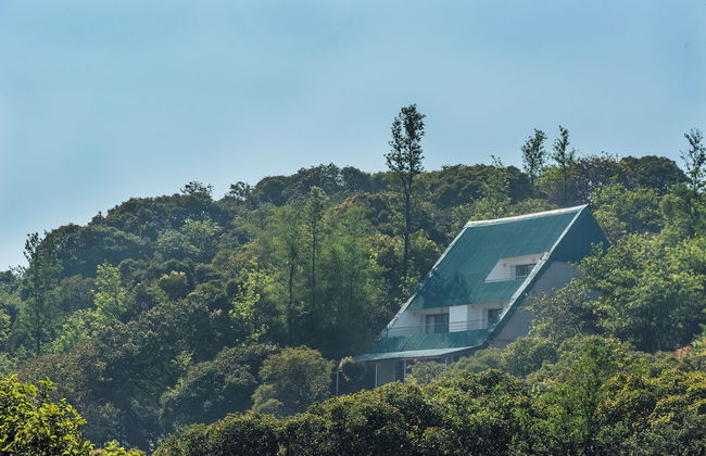 Evergreen Cascade by cosmicstays - Photo 18