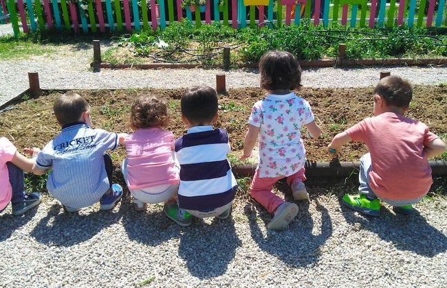 Agriturismo Fattoria Il Bruco - Foto 47