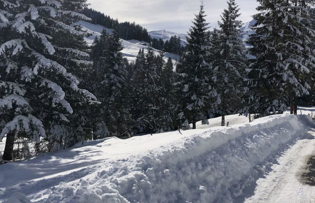 Sunnegruess - Foto 25