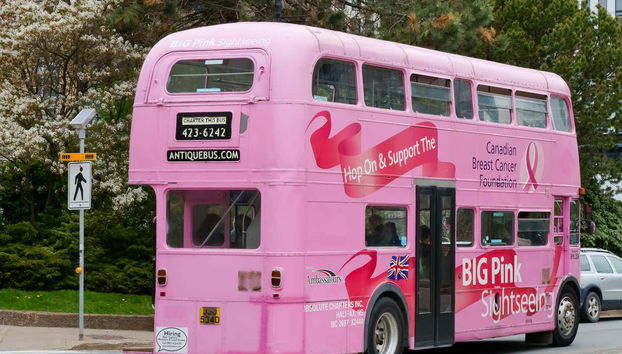 Bus touristique de Halifax