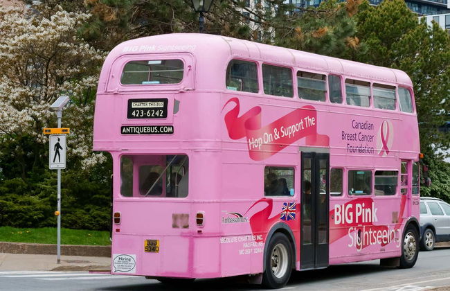 Bus touristique d'Halifax - Photo 2