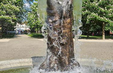 Licht+Luft, Wohnen auf Zeit - Foto 55