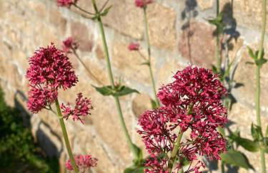 Location de charme, cosy La Maison de Keraudran - Foto 20