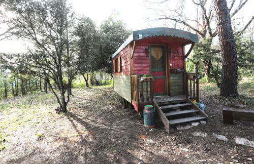 LUBERON DES ARTISTES 2 - Photo 28