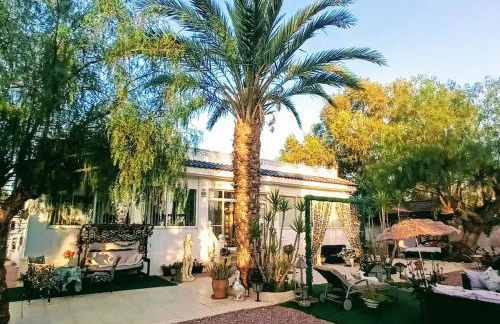 Villa lujo Elche - Foto 2