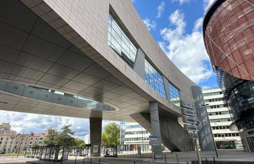 Bel appartement spacieux , lumineux, proche Dijon centre auditorium - Foto 31