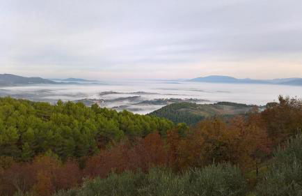 Alloggio turistico Montelirossi - Photo 12