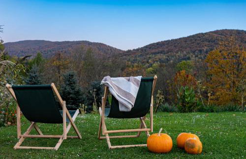 Maniówka - pokoje i domki w Bieszczadach - Foto 1
