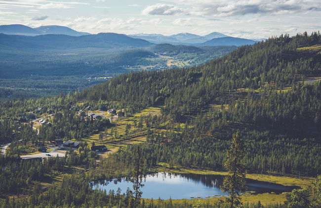 Tännäskröket - Foto 61