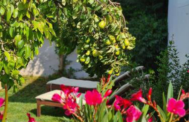 Vacation house with private pool and yard - Photo 13