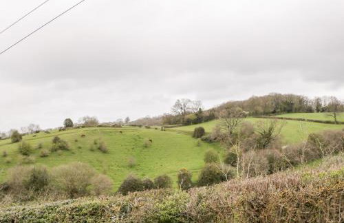 Sevenwoods View - Foto 38