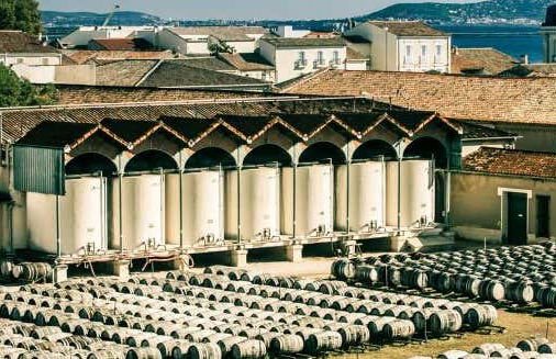 Tour in Marseillan - Photo 1