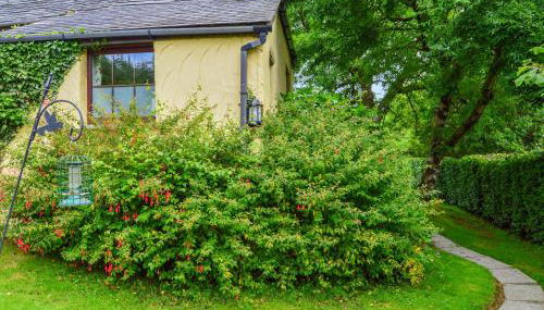 Barley Cottage - Foto 4