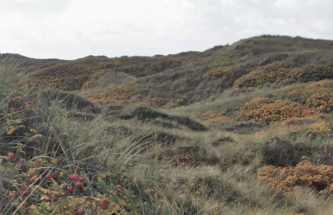 7 Person Holiday Home in Henne-by Traum - Foto 6