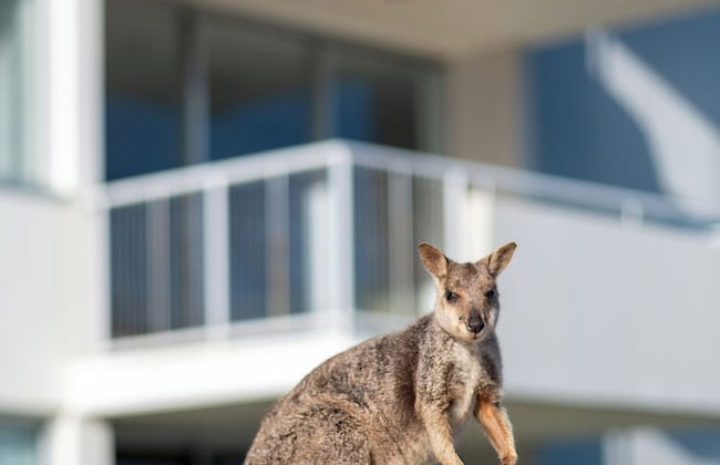 Grand Mercure Apartments Magnetic Island - Foto 56