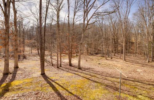 4 Mi to Gauley River Rapids! Outdoor Adventure Hub - Foto 24