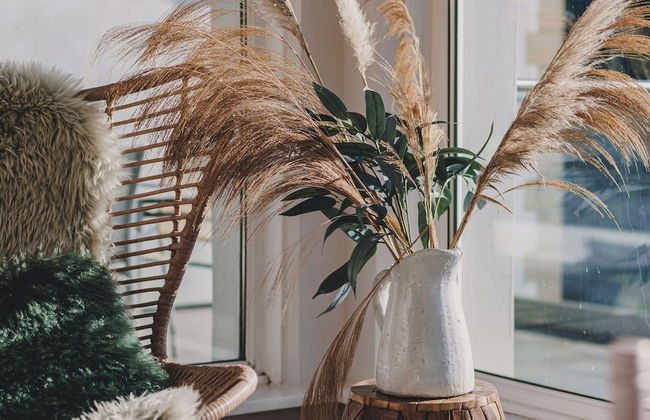 The Curlews in Bishopsteignton - Foto 40