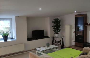 Leipzig-Neuseeland-Ferienwohnung - Foto 1