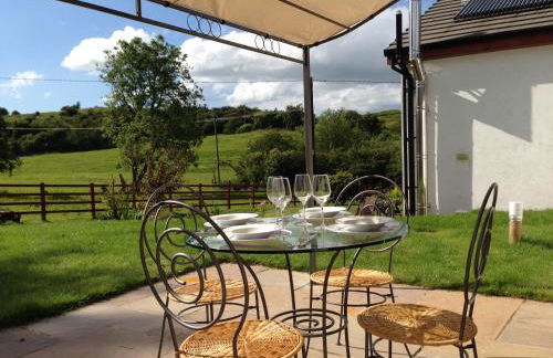 Glan Llyn Farm House - Foto 31