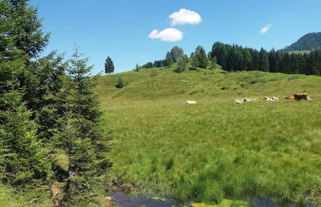 Chalets Zöhrer - Wohnen am Wasser - Photo 19