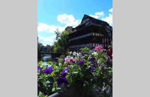 Coeur Alsace - Foto 42