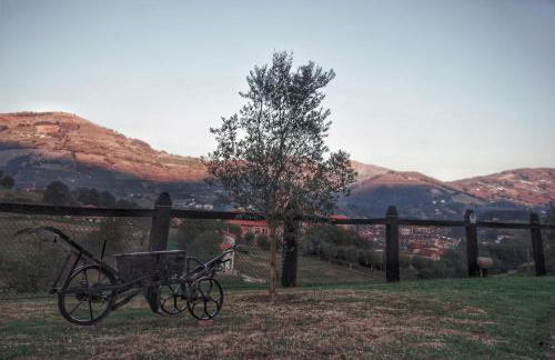 Txanpardin - Foto 51