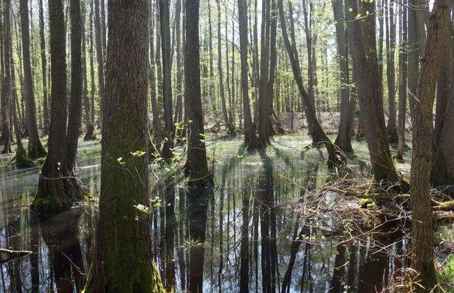 Captain House South Cats 8 - Photo 6