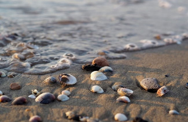 Bright Apartment Close to the Beach - Foto 11