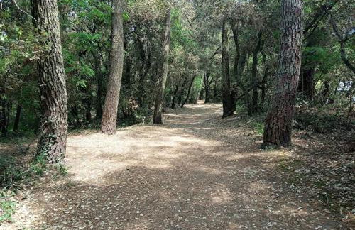 Charmant T2 au coeur du golf de port Bourgenay - Foto 42