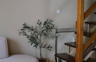 Ferienwohnung am Teuto - Foto 19