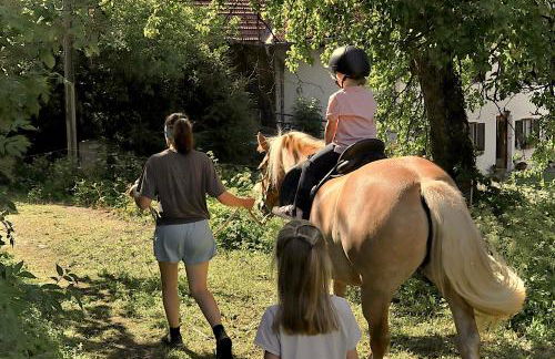 Fuchsbauernhof - Foto 2