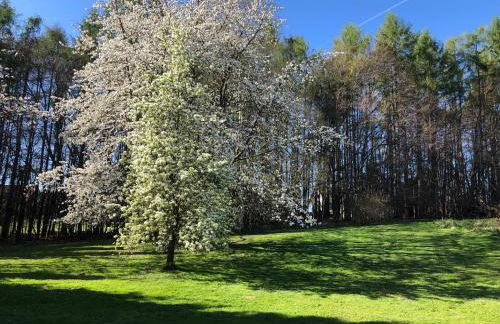 PentArtHouse - Foto 60