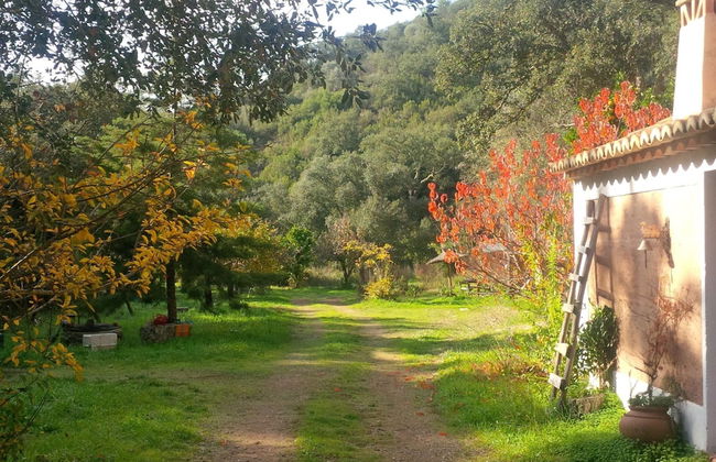 Quiet Cottage in Estate Casas da Cerca near Troviscais - Foto 27